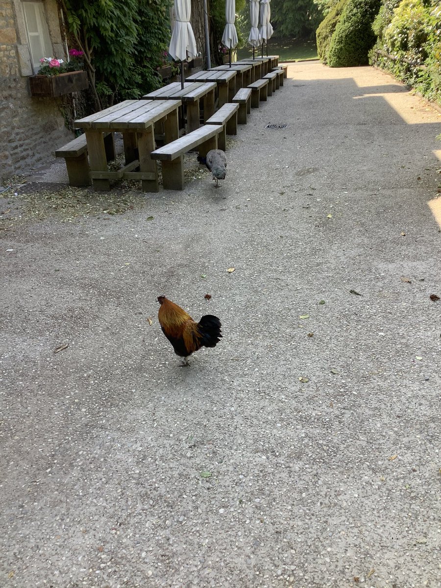 BSGD Year 7 Normandy Trip 2023 tweet media