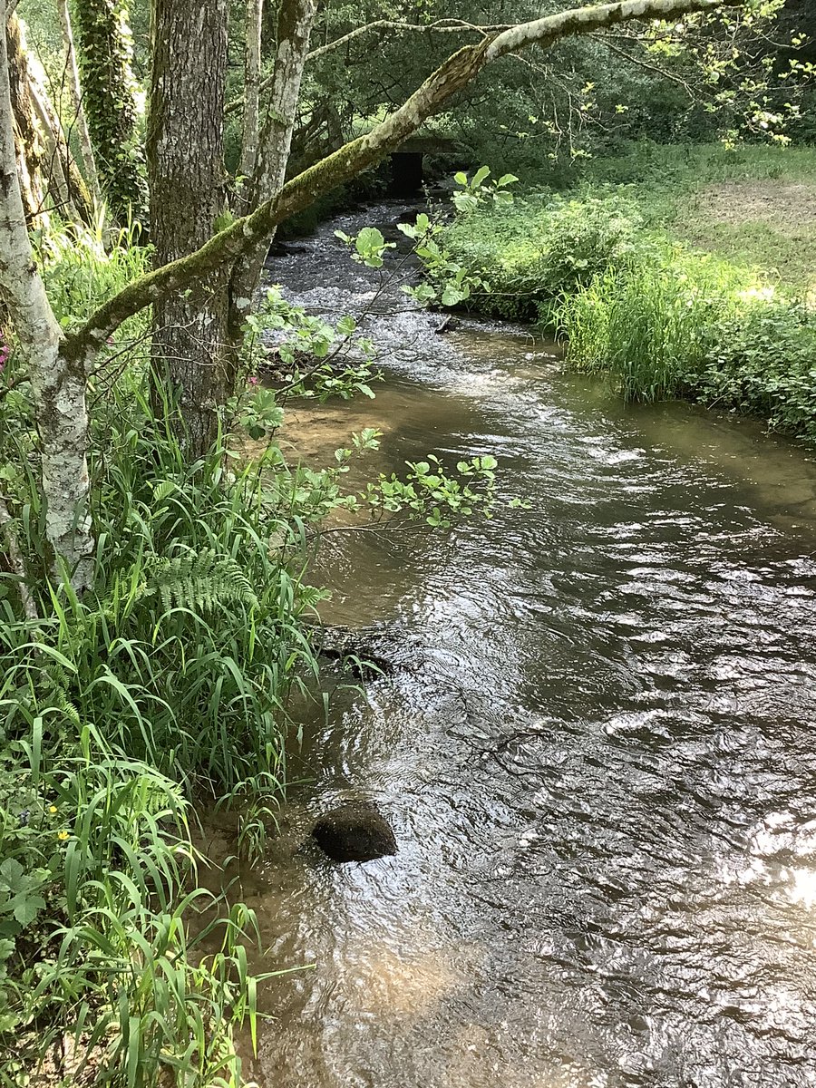 BSGD Year 7 Normandy Trip 2023 tweet media