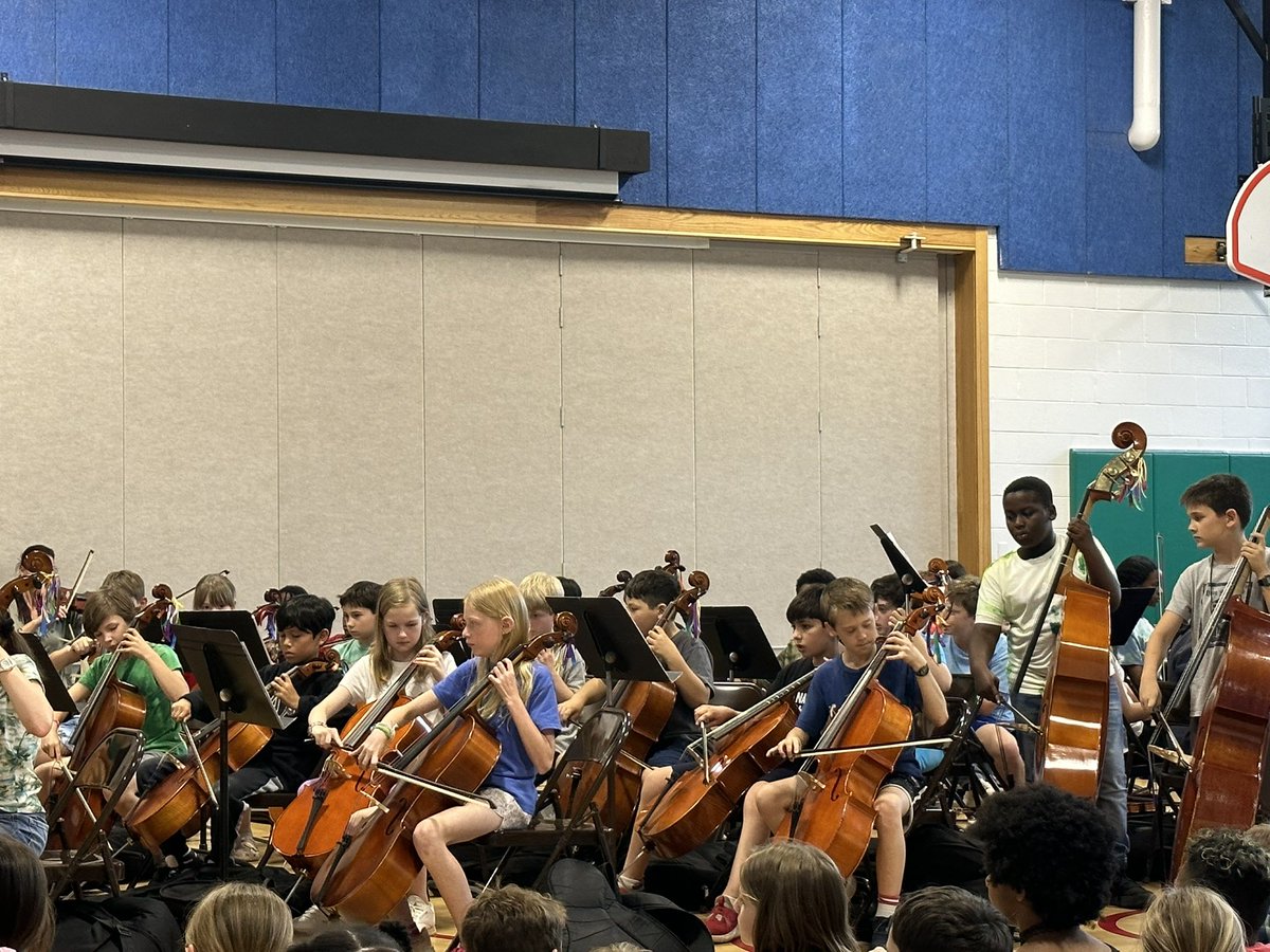 Anna Shumaker, M.M.Ed tweet media