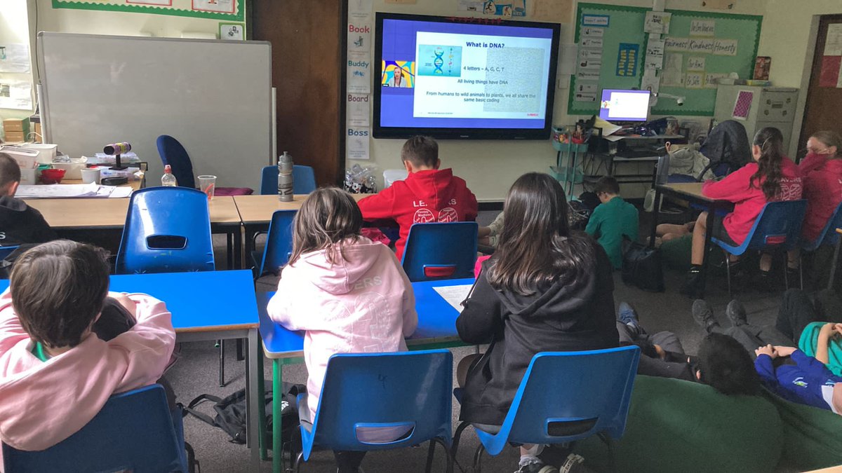 Continuing their learning about DNA -primary 7  tuned into a Glasgow Science Centre live talk. They considered what DNA  does for us and how it makes us unique.