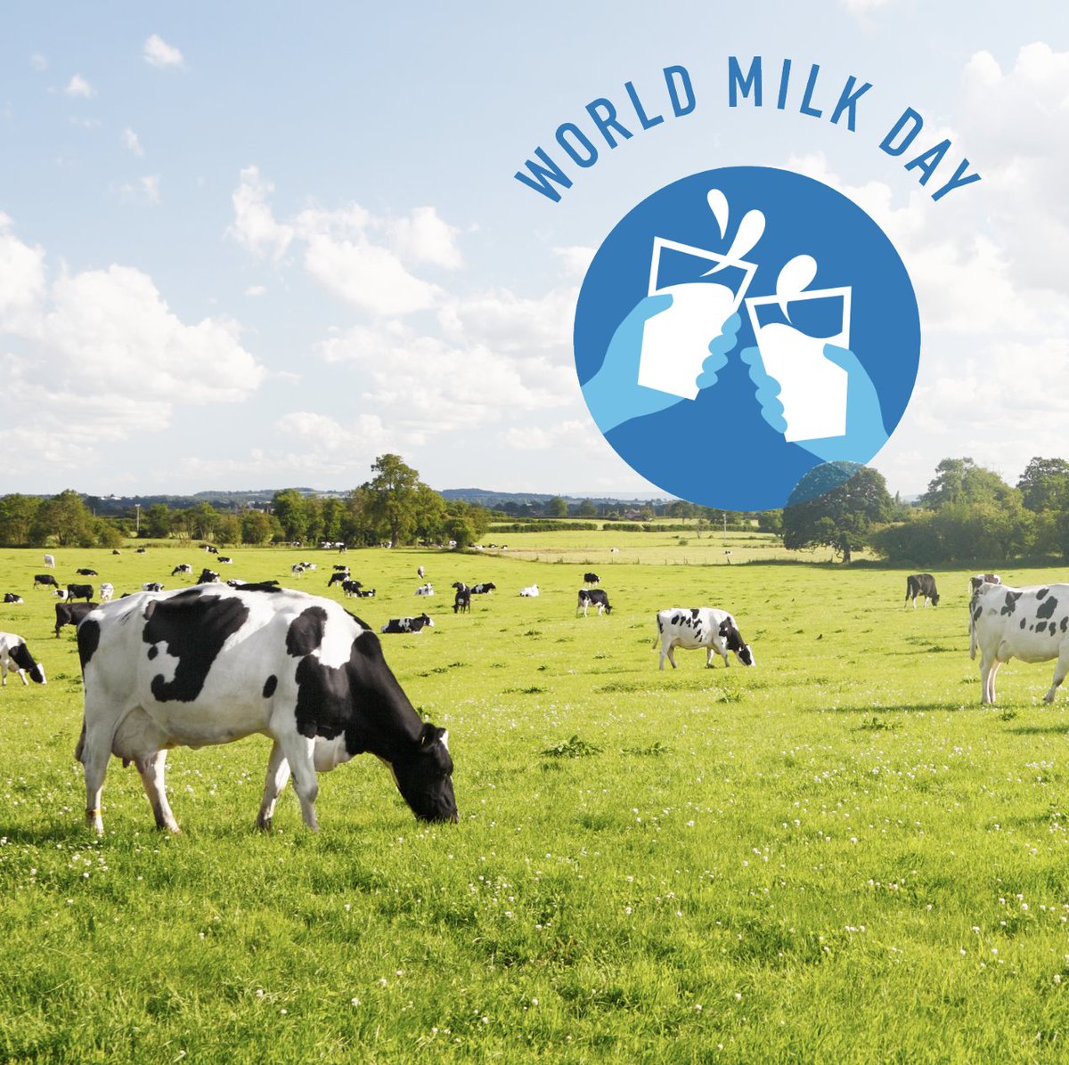 Happy World Milk Day!🥛🌍
Thank you to our incredible Canadian dairy farmers and their dedication and passion to ensure we have access to fresh, wholesome milk every day. Let's take a moment to appreciate their tireless efforts &amp; the role they play in nourishing our communities.