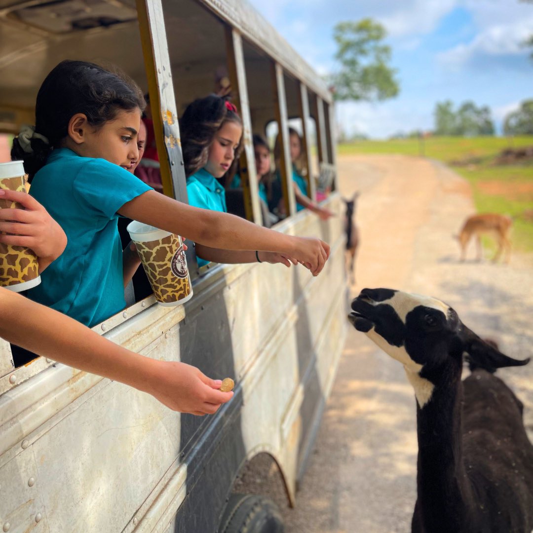 Davis Academy tweet media