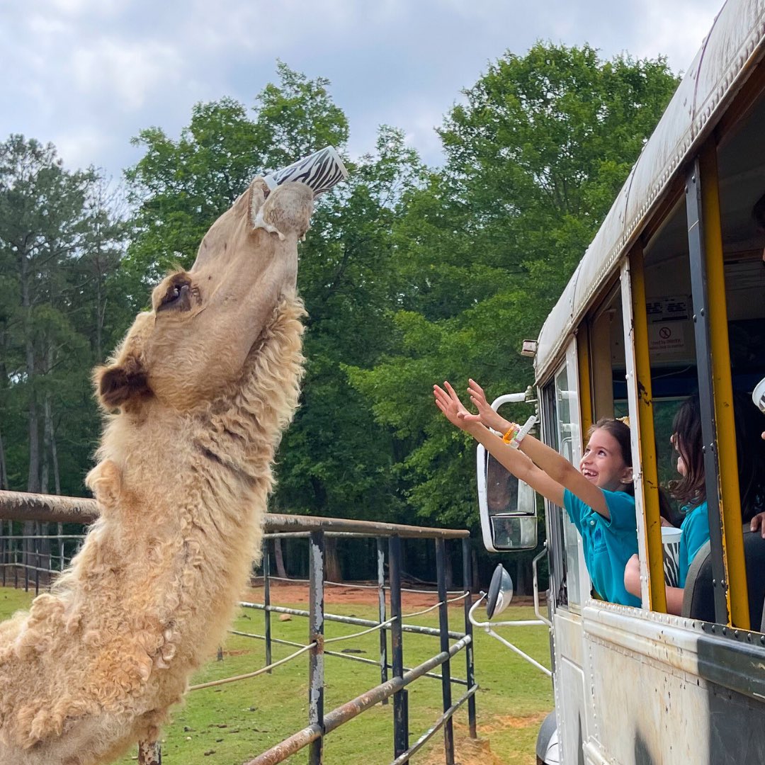 Davis Academy tweet media