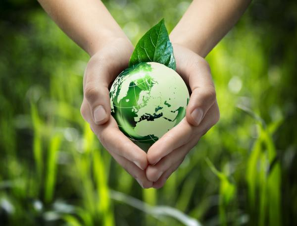 nanduti's tweet photo. 🌱 Llegó #JunioVerde , donde se recuerda la importancia del #MedioAmbiente que también necesita de nosotros con el cuidado y preservación correspondiente.
➡️ "Un medio ambiente saludable significa una buena calidad de vida para todos" 💚. #1020AM https://t.co/ftlIz8gMti