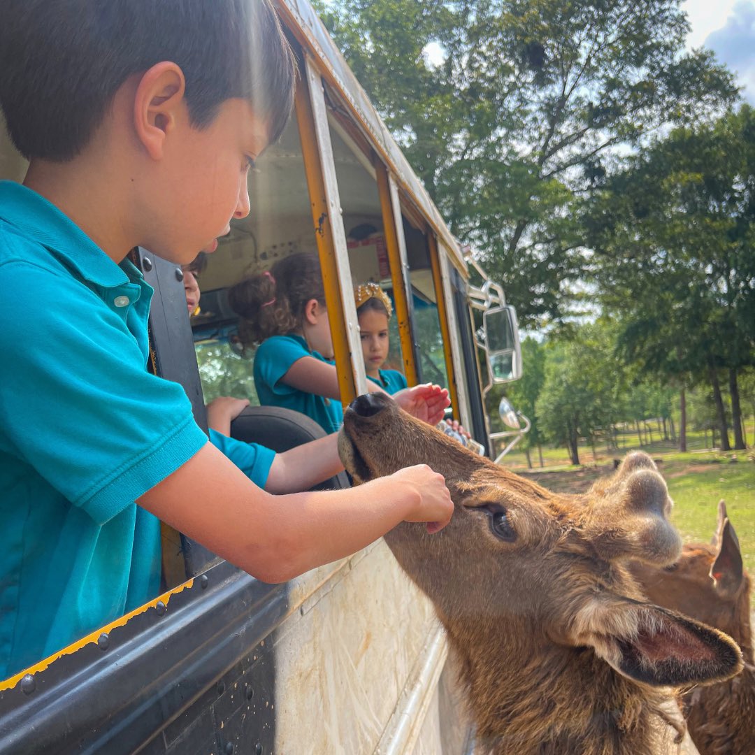 Davis Academy tweet media