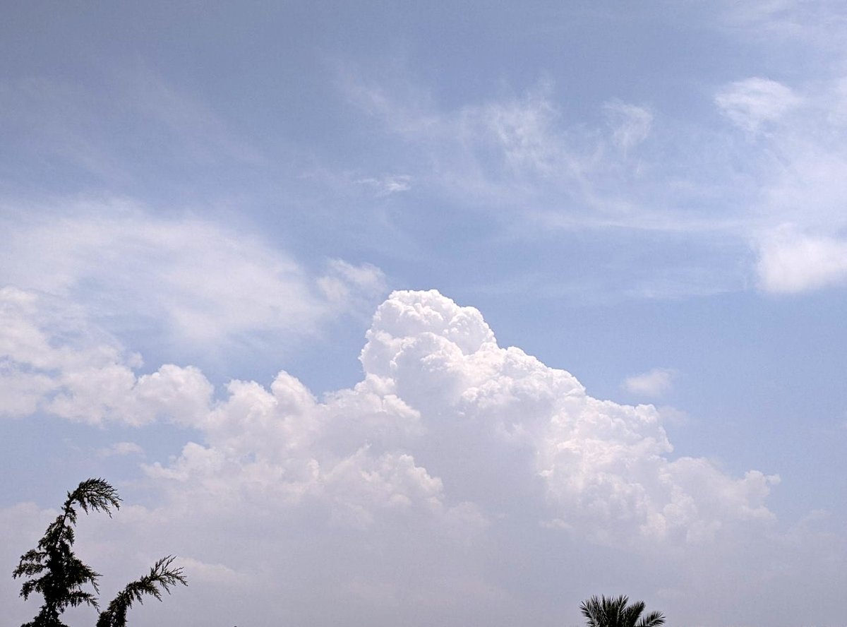 MuaadElsharif's tweet photo. Today's clouds #Clouds #Nature #photography #PixelPhotograhy
๐ท #Enchanced https://t.co/XSLqbeSUzZ