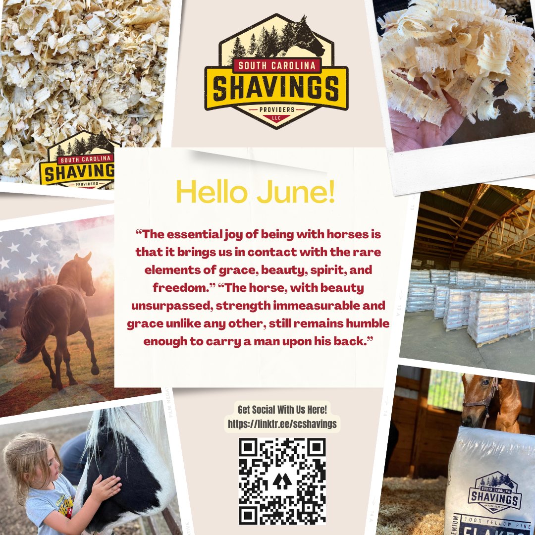 Happy June!! #fortheloveofhorses 
#southcarolinashavings #aikensc #welovehorses #equinebedding #shavings #fines #flakes #blended