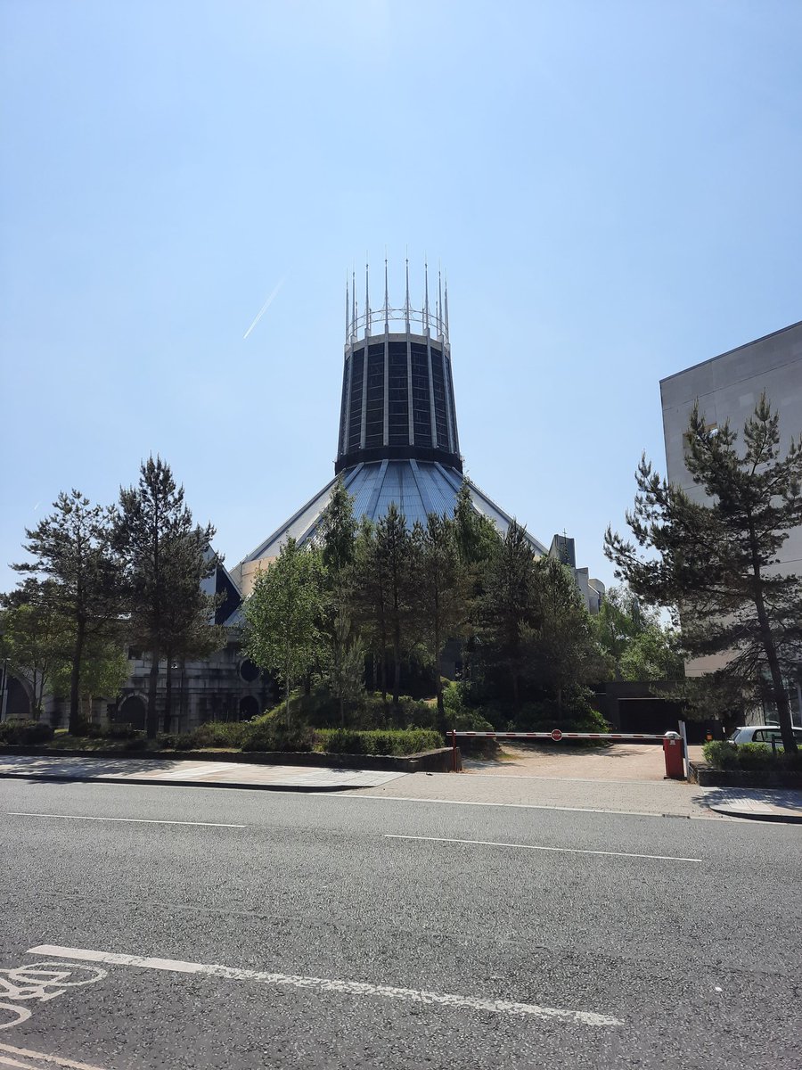 Palaeo_Meghan's tweet image. Thank you Liverpool and @ProgPal2023 it&apos;s been great! Sad I don&apos;t get to see any of the talks tomorrow and I didn&apos;t even get to ride Scouse Space Mountain, but maybe next time 😉