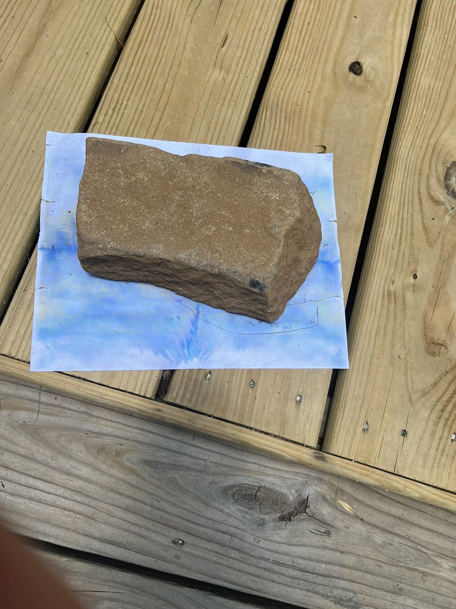 Karlfly11's tweet image. So we’ve all heard the “a dog ate my homework” excuse and it’s never once happened. 

A turtle pissed on my homework. It fucking happened. #Ruralproblems