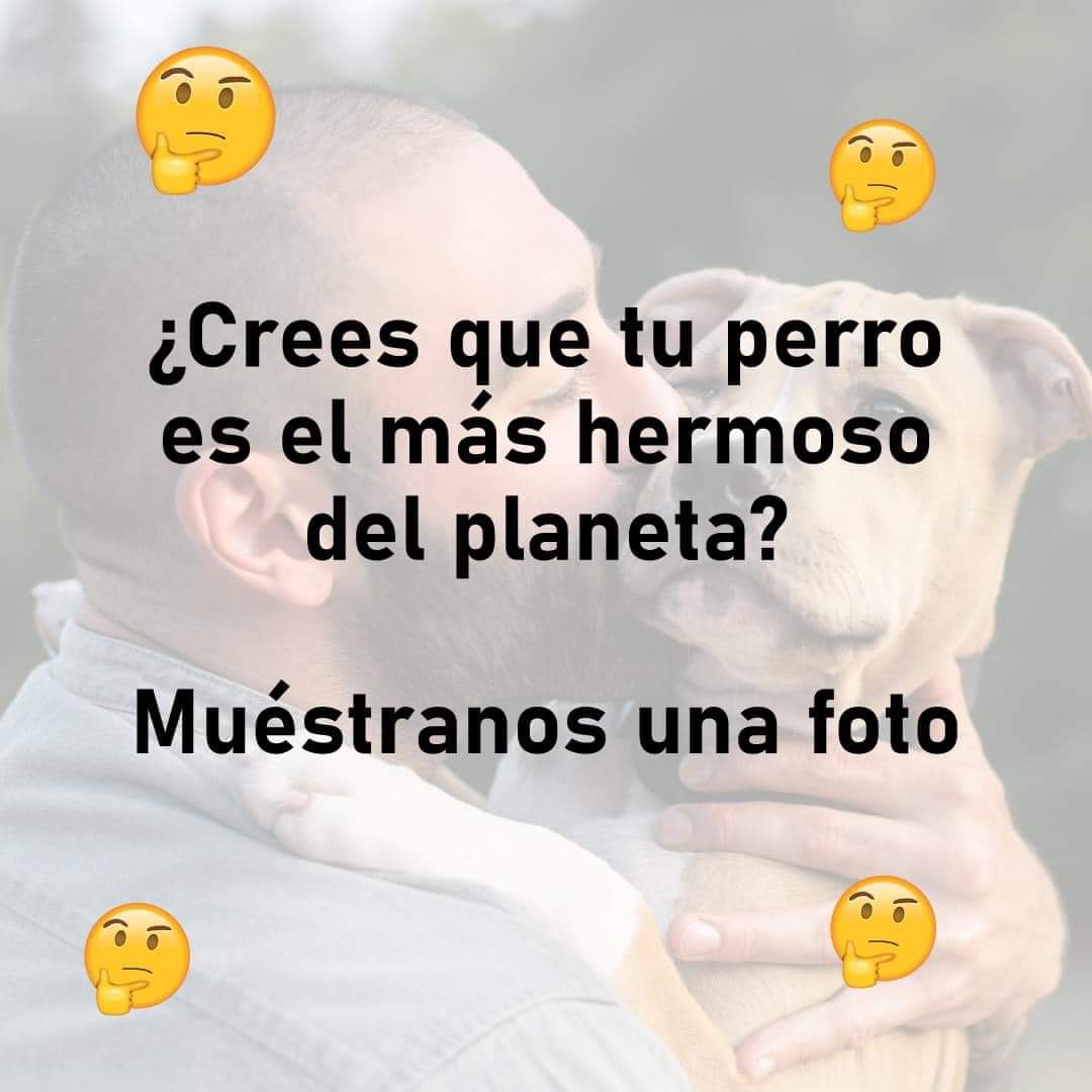 Sabueson tweet media