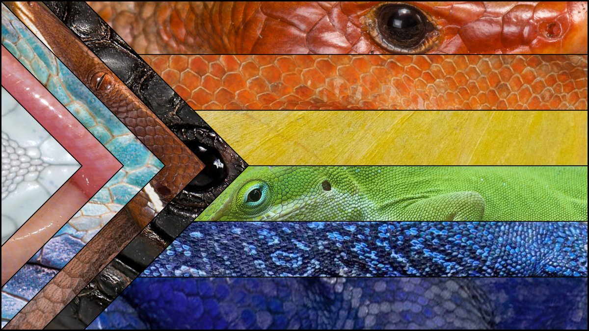 Krista Koeller tweet media