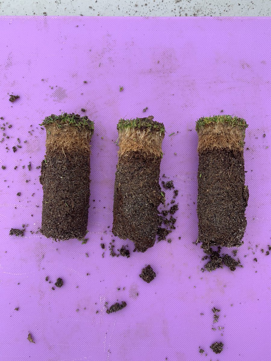Starting year 4 of treatments on our cultivation &amp; topdressing trial. We can really produce some OM in the PNW!  Last pic is from the plot that has received no cultivation or topdressing.