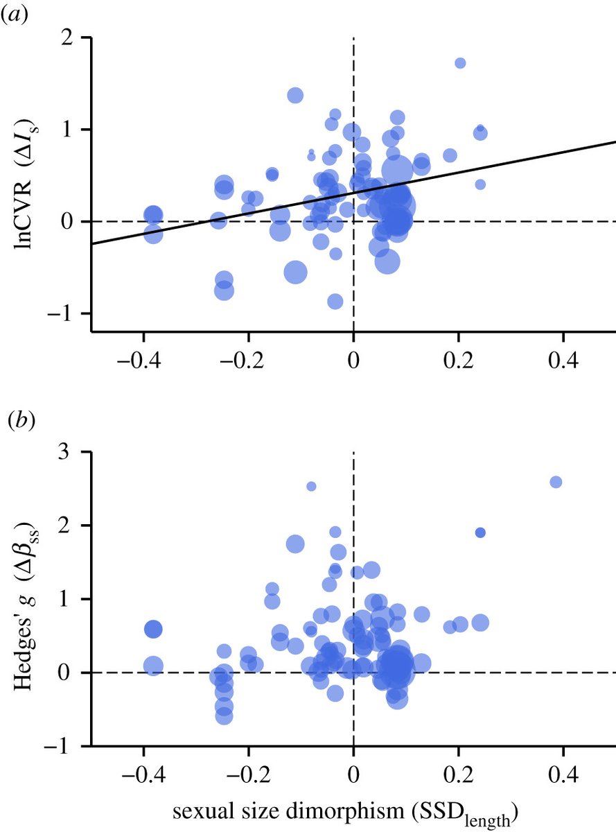 This meta-analysis suggests that sexual selection is a poor predictor of sex differences in body size across the animal tree of life ow.ly/Gcqw50GazTD  #BiologyLetters #sexualselection #dimorphism #evolution #HBES2023