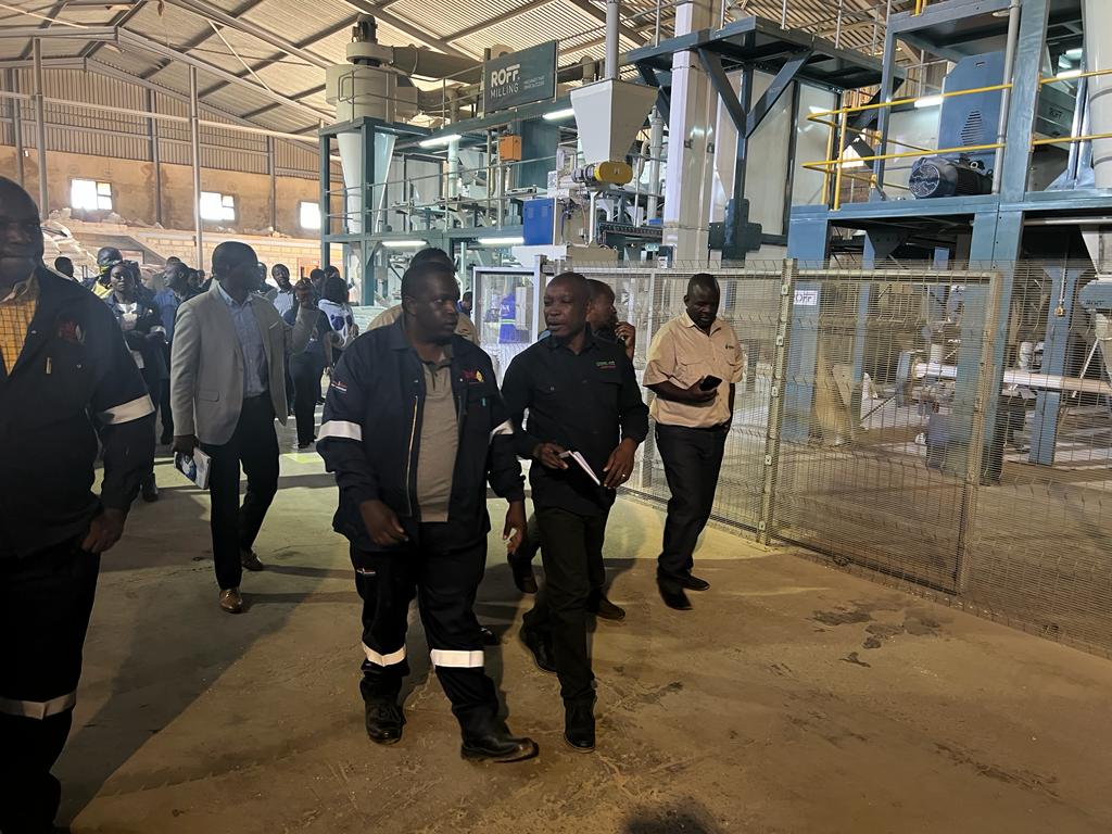 Masimba Kanyepi tweet media