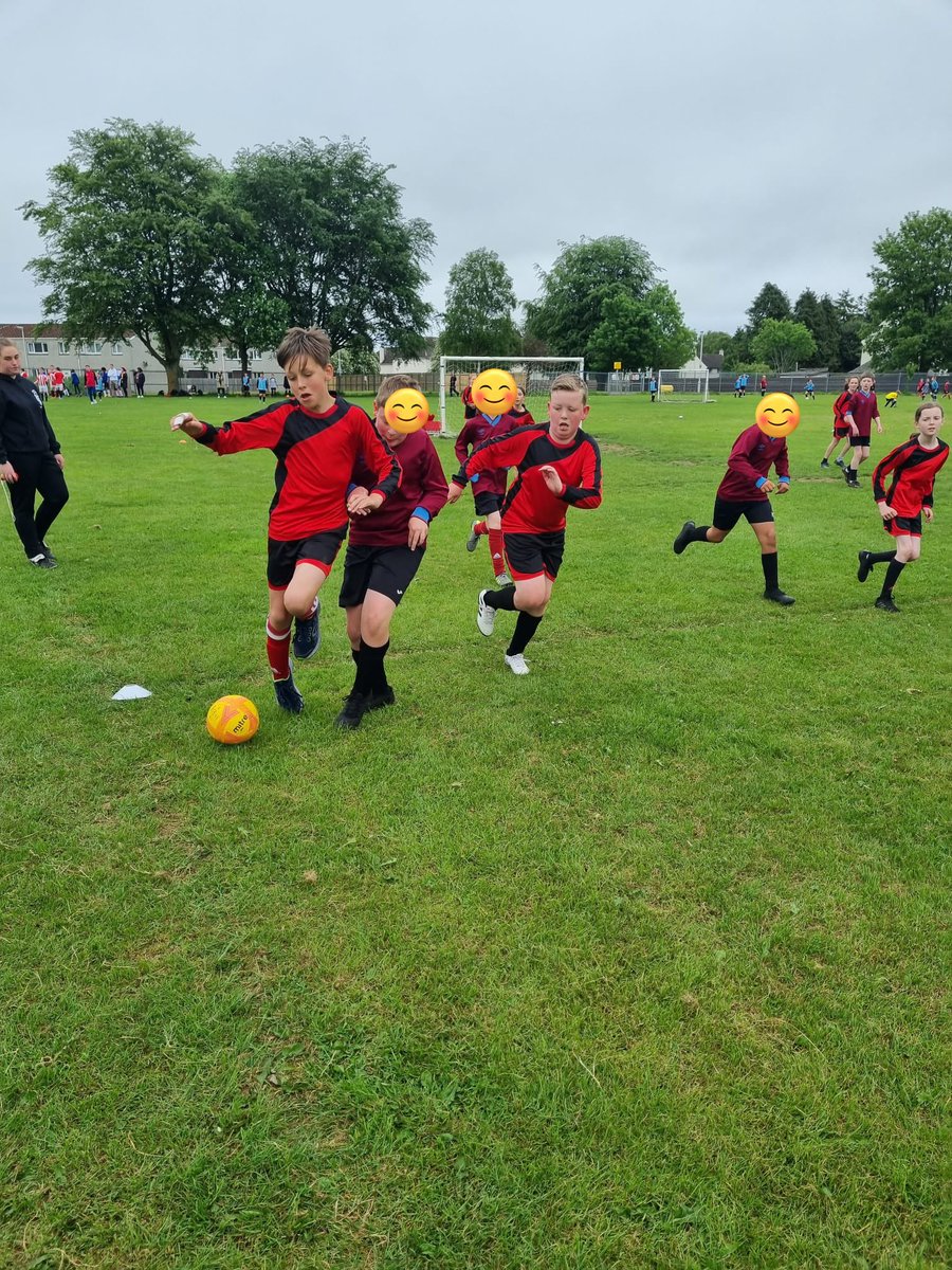 Pitlessie PS tweet media