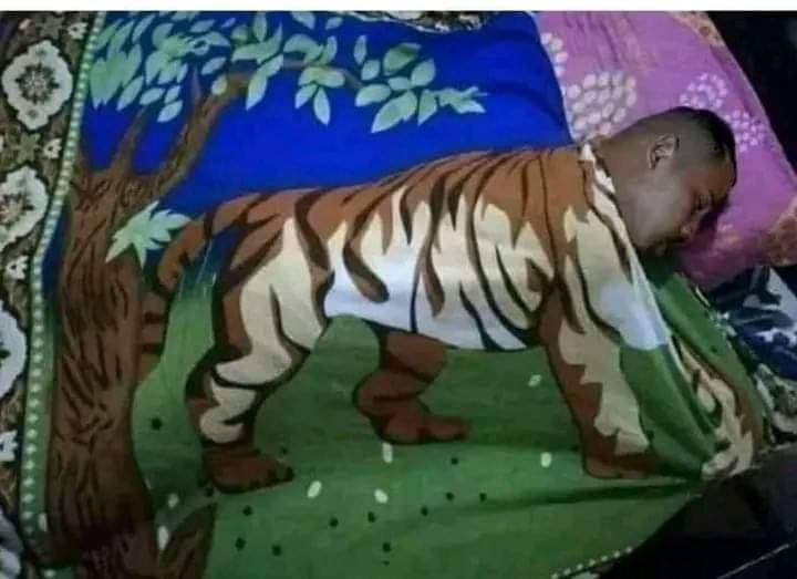 dhumer_num's tweet image. Humaion = human + lion 😂