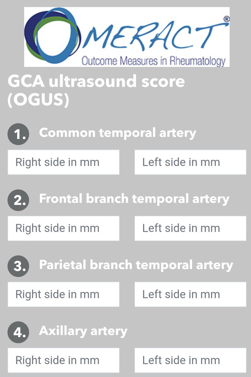 GCA ultrasound score (OGUS)

scoring.rheumatologie.at/omeract