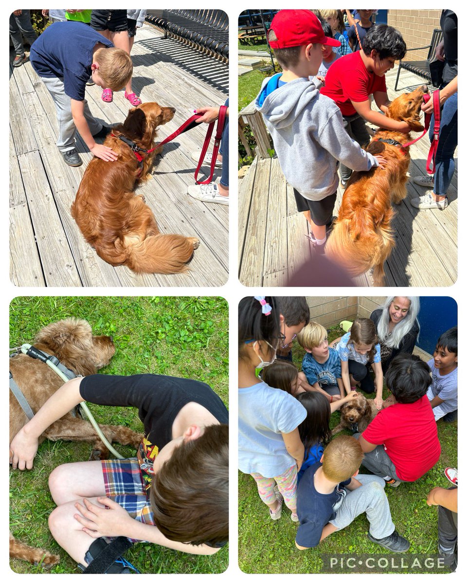 shari winston (@mrsshariwinston) on Twitter photo Thank you to Rigby and Lily for visiting our 2nd graders today! Persuasive writing paid off! <a href="/ShrevewoodES/">Shrevewood Elementary School</a> <a href="/JDeSmyter/">Joshua DeSmyter</a> <a href="/mrsvandawalker/">Mrs. Vandawalker</a> Thank you to Rigby and Lily for visiting our 2nd graders today! Persuasive writing paid off! <a href="/ShrevewoodES/">Shrevewood Elementary School</a> <a href="/JDeSmyter/">Joshua DeSmyter</a> <a href="/mrsvandawalker/">Mrs. Vandawalker</a>