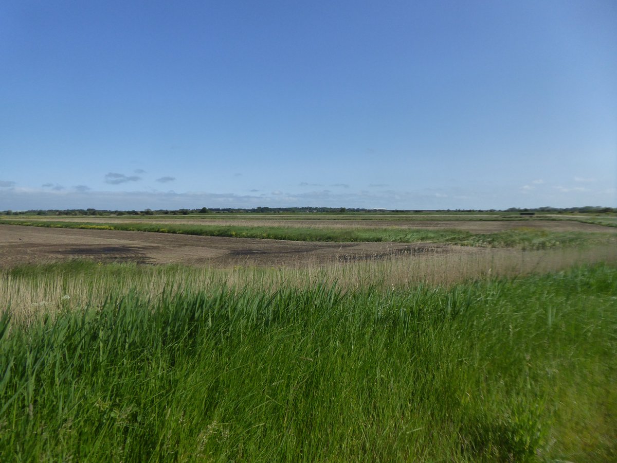 This land used to be under the sea.   5/
#changingcoastline #geography #Thanet #IsleofThanet #RomanBritain #Medieval #Roman