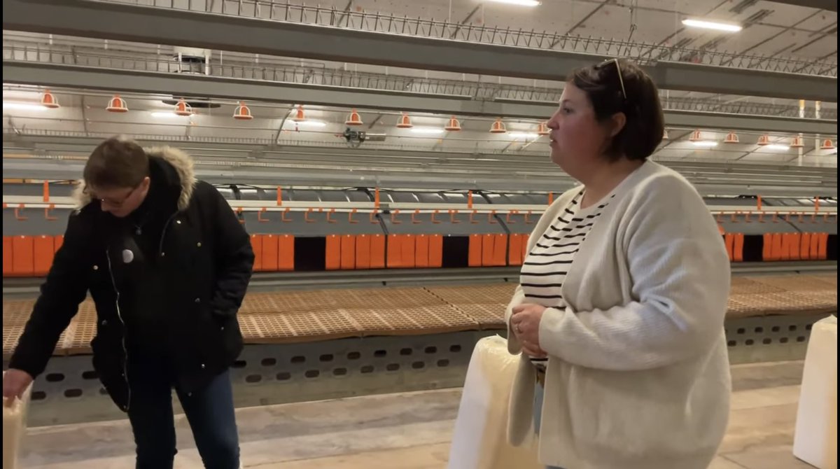 🎥👢Nouvelle vidéo « une journée, toutes en bottées, 2 partie : Delphine, ses poules et ses vaches ». Delphine nous parle ici de poules « repro », de sa philosophie, et sa passion pour l’élevage. <a href="/CAVAC_/">Cavac</a> <a href="/VoxDemeter/">Vox Demeter</a> 
🎥👉🏻youtu.be/UzZsCJPlMtc