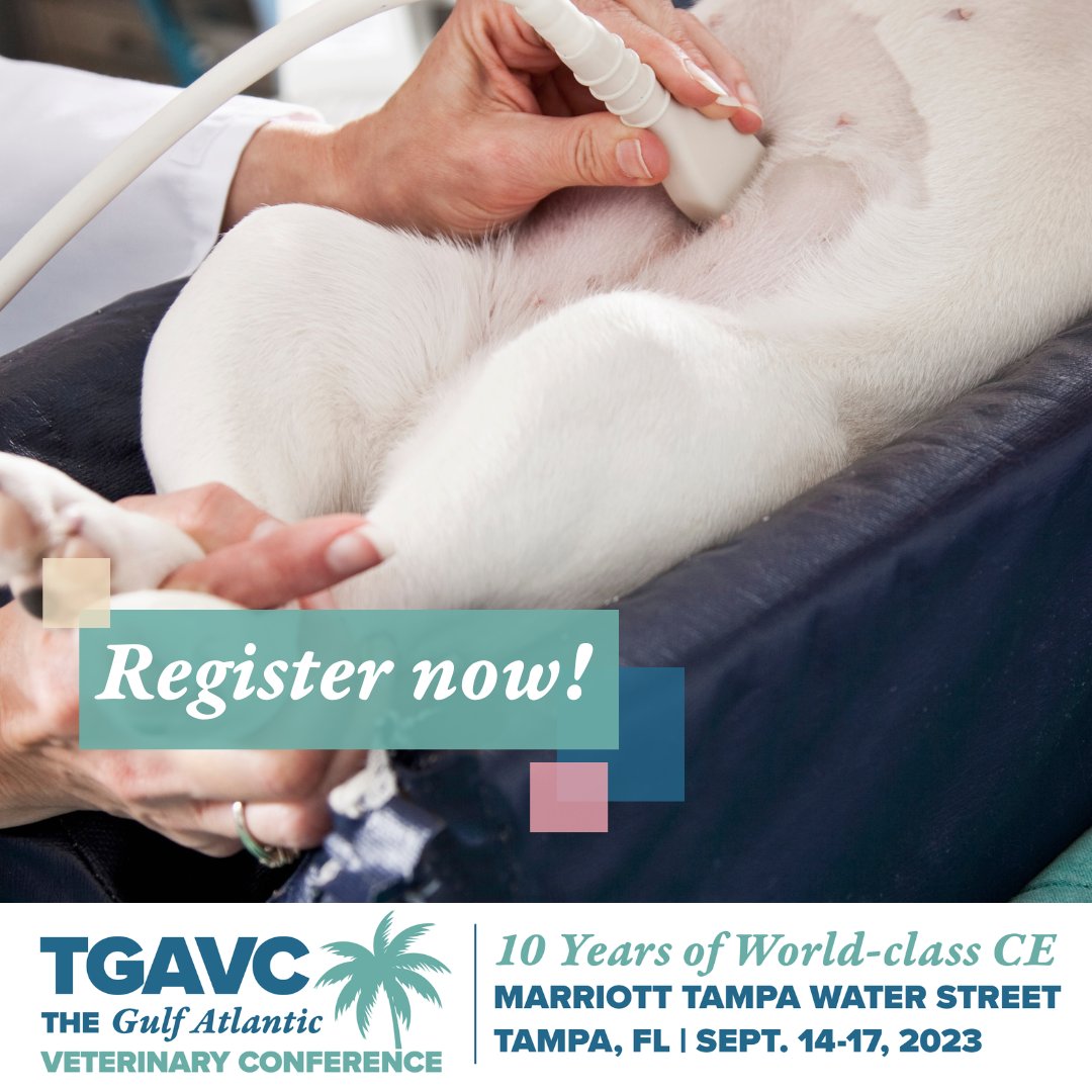 TGAVConference's tweet photo. We're excited to announce TGAVC 2023 registration is now open!

Spots are limited, so reserve yours today! If you register before August 16 you can get up to $100 off your registration📷

https://t.co/rBzwXDFnsy

#veterinary #veterinarian https://t.co/79NQTOZQKo
