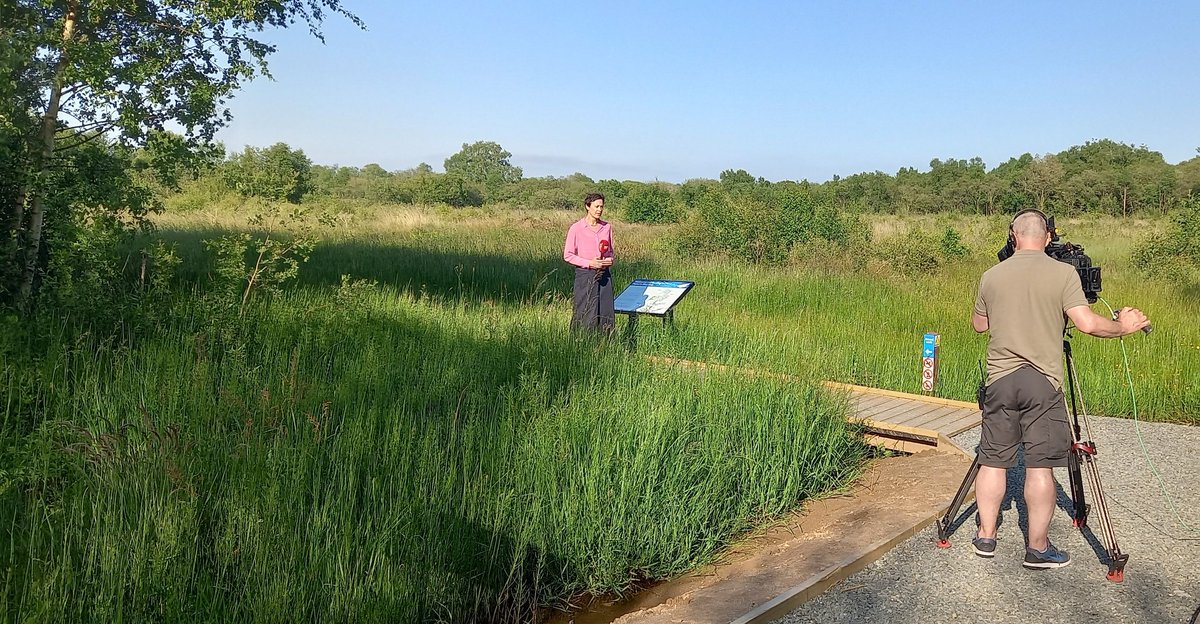 Thanks to @ItaDungan from @bbcnewsline for visiting @RSPBNI newest nature reserve at Montiaghs Moss today. We joined @BuglifeNI to highlight the crisis facing nature in NI and the hope places like this give us for the future. @savebutterflies have helped us restore this site.