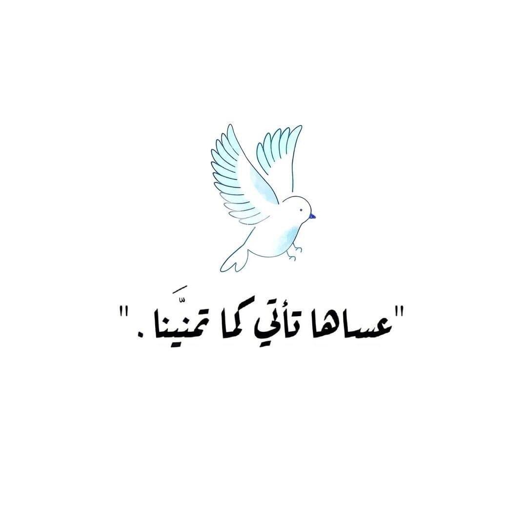 1il5i's tweet photo. يارب. https://t.co/GYy29fCoHh
