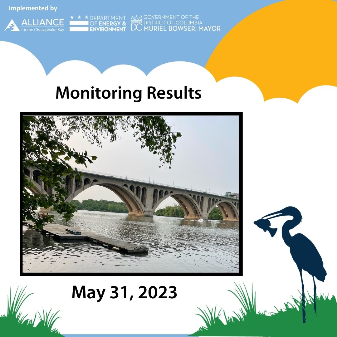 AllianceForBay's tweet photo. Our weekly results will now be reported using the Geometric Mean with a standard of 126 MPN. Always take caution recreating after a rain event! Thanks to @AnacostiaRrkper, @LoveRockCreek, @GoNatureForward, @DOEE_DC, and @MayorBowser! #WhatsInTheWater #DCCitizenScience https://t.co/Qim5nUnVuW