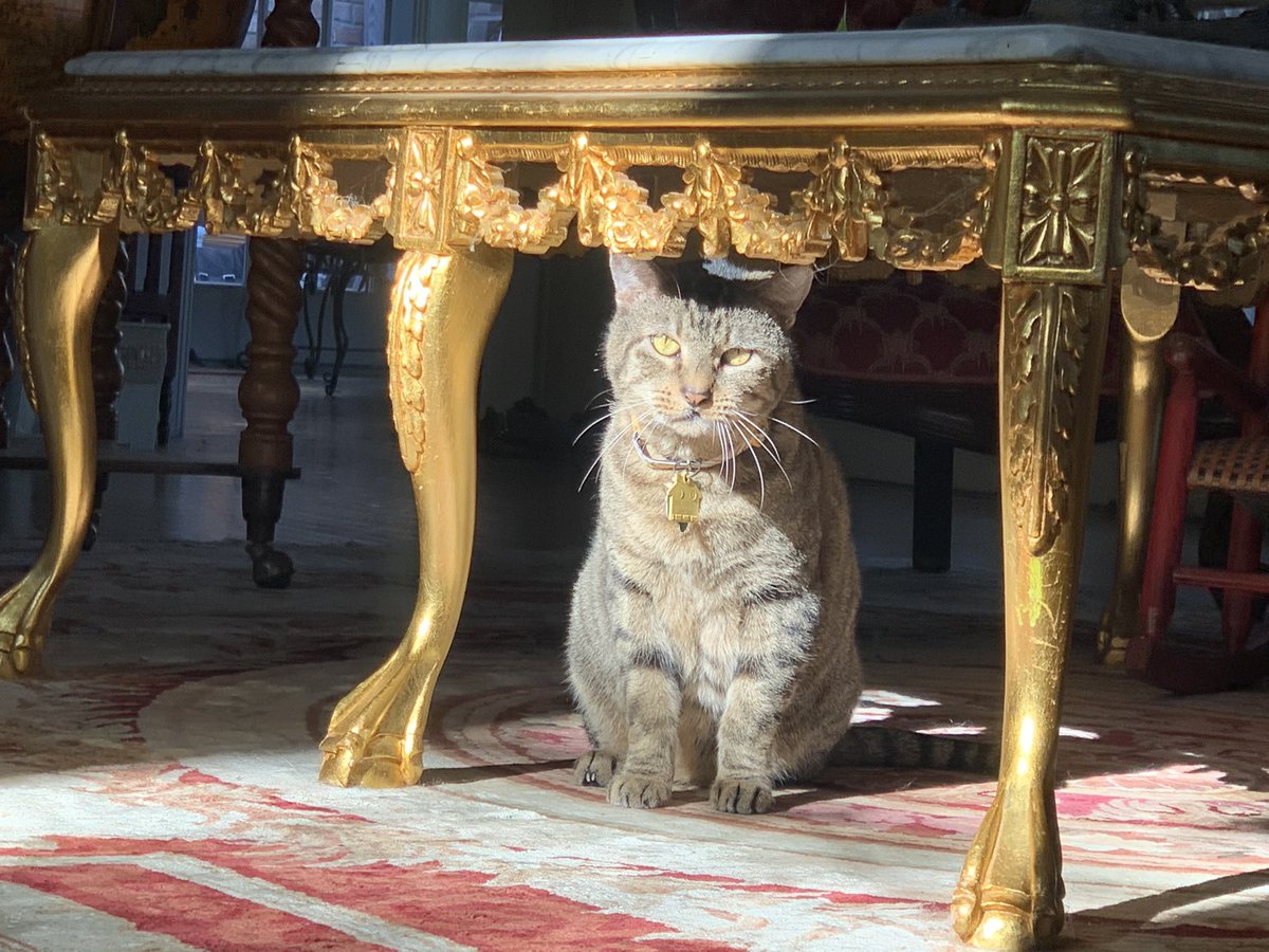 thank you for being part of my life. i will love you for as long as i live. ❤️