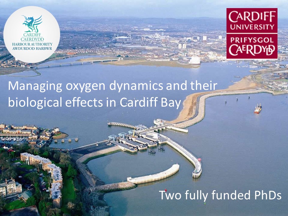 We have two fully funded PhDs on offer to start in autumn 2023 - respectively involving i) oxygen dynamics in Cardiff Bay and ii) novel early warnings of oxygen decline using novel biochemical indicators in sentinel organisms. Contact me for more details