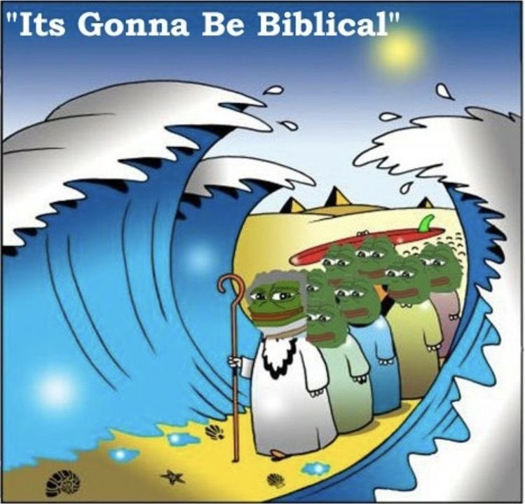 XRPepe tweet media