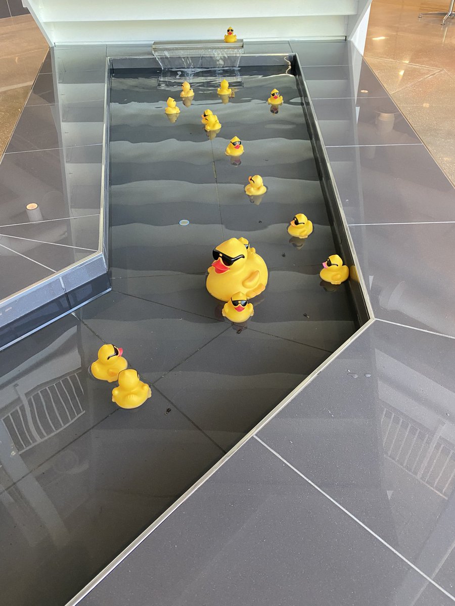 Solved our DUCK problem w/<a href="/GorillaGlue/">Gorilla Glue</a> <a href="/FreestoreFB/">Freestore Foodbank</a> Now our ducks stay put in the pond —even after a month in water! #RubberDuckRegatta #holdstight
