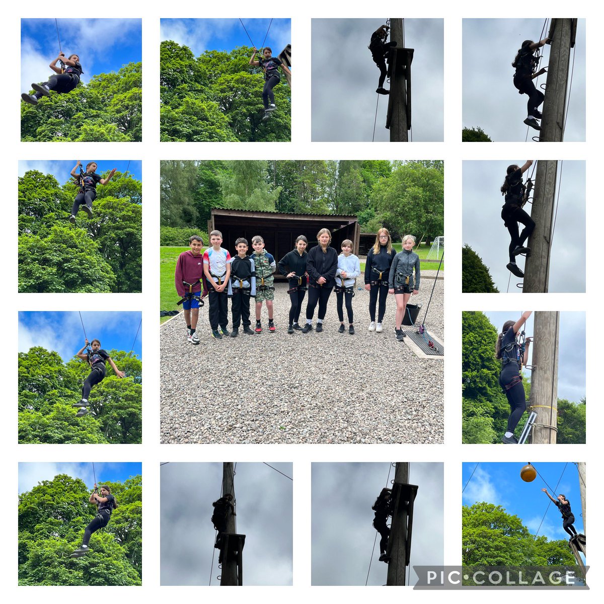 Miss Lynch tweet media