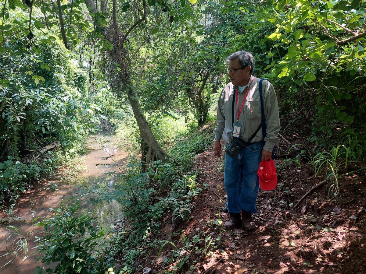 UESoficial's tweet photo. Investigadores de la Unidad Ambiental, el @ICMARES_UES y el @CensaludUES recorrieron el sitio Ramsar de la Barra de Santiago con el fin de apoyar a los habitantes en la protección de los sitios costeros marinos de la zona como playas y manglares. https://t.co/c1rljvDY3s