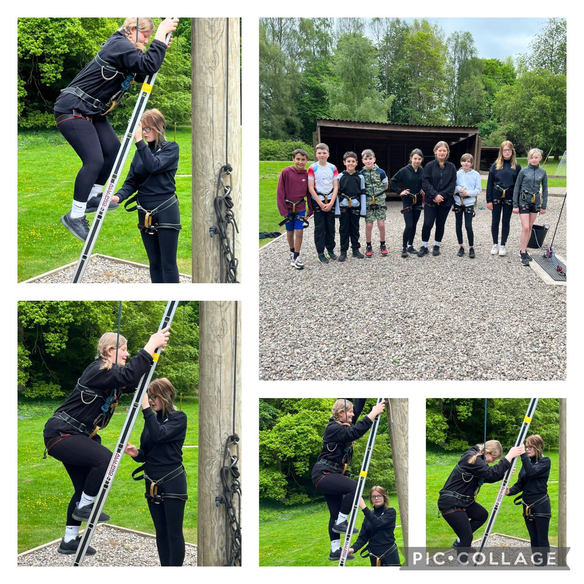 Miss Lynch tweet media