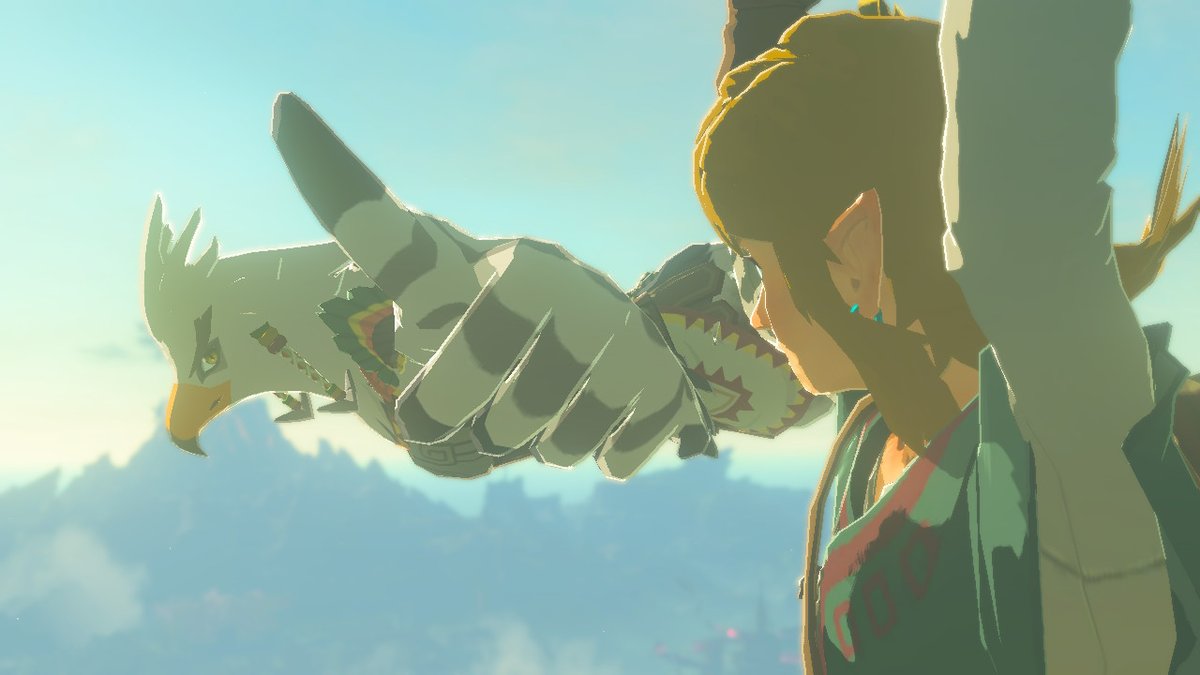 wildlandstv's tweet photo. SeemsGood #BreathoftheWild #NintendoSwitch https://t.co/BQCtG158a7