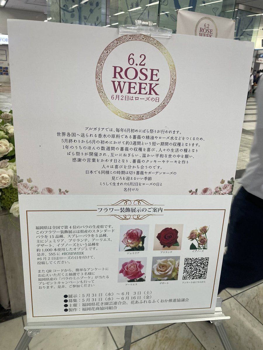 inu_inu_inu_uni's tweet photo. おはようございます
本日はローズの日💐
博多駅構内に薔薇のオブジェが
飾られていますよ😊
では今日も一日がんばりましょ✨
#ROSEWEEK
#6月2日はローズの日 https://t.co/OSHdZaAxjI