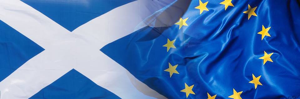 Oor bonnie blue flag #FBPE #FBSI (@45albannach) on Twitter photo Here's my choices. Here's my choices.