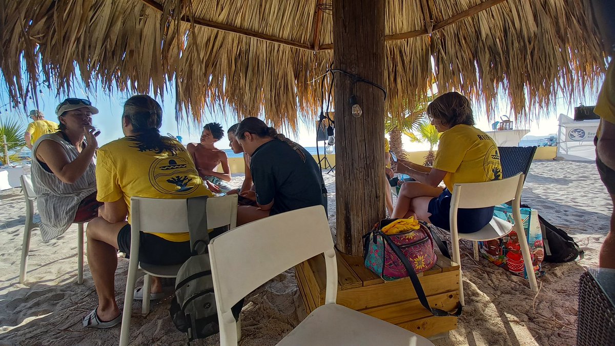 Yamapama's tweet photo. Go!

#Reefiesta #Bonaire #WorldReefDay https://t.co/5CEZsoFTgv