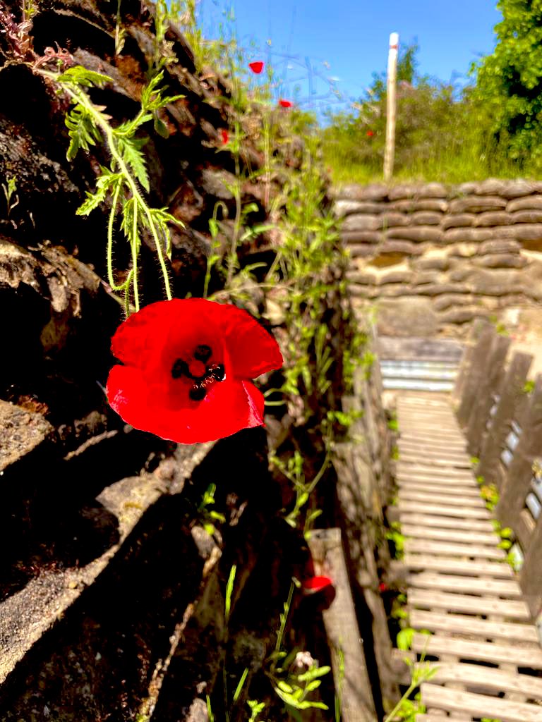 Eugenie Brooks 🇺🇦 🇬🇧 tweet media