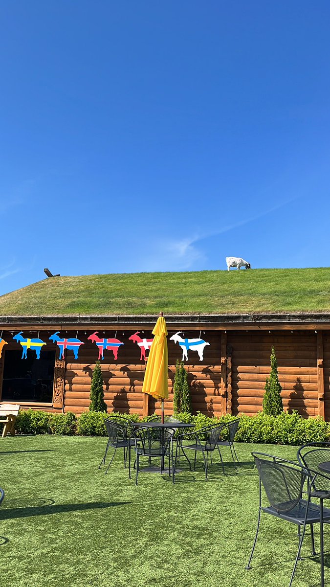 It’s a goat on the roof kinda day 🐐 

#BlessedAndGrateful