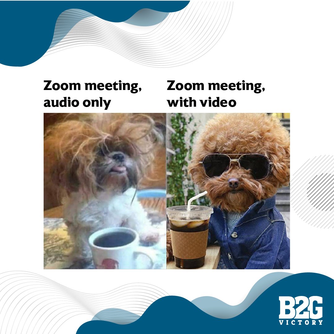This can't just be us...😂
*
*
*
#B2GVictory #VictoryPortal #funny #ZoomMemes #ClientCalls #GovCon #GovernmentContracting