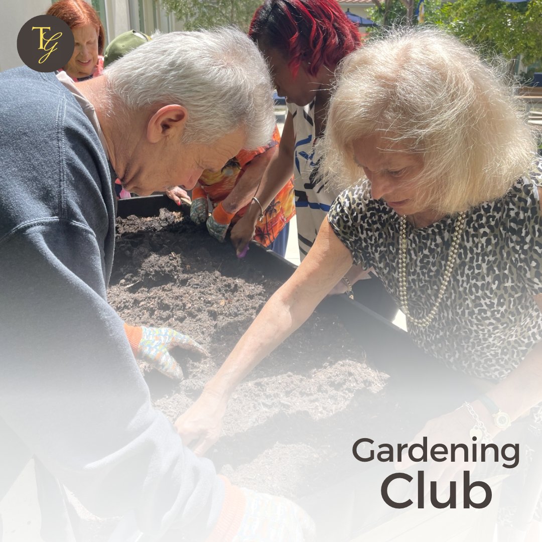 TGDelrayBeach's tweet photo. We are reaping the therapeutic benefits of #gardening! 😊💖 #seniorliving #memorycare https://t.co/oBlT6dWoFs