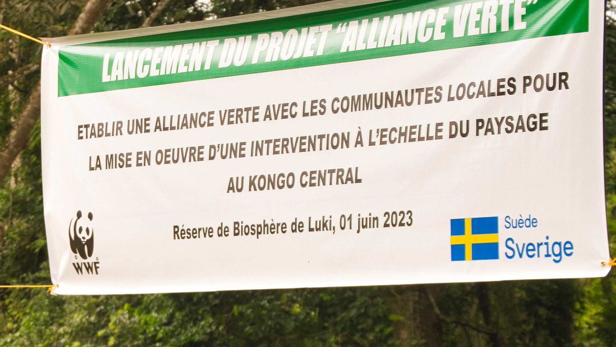 WWF RDC tweet media