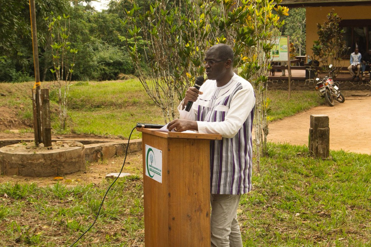WWF RDC tweet media
