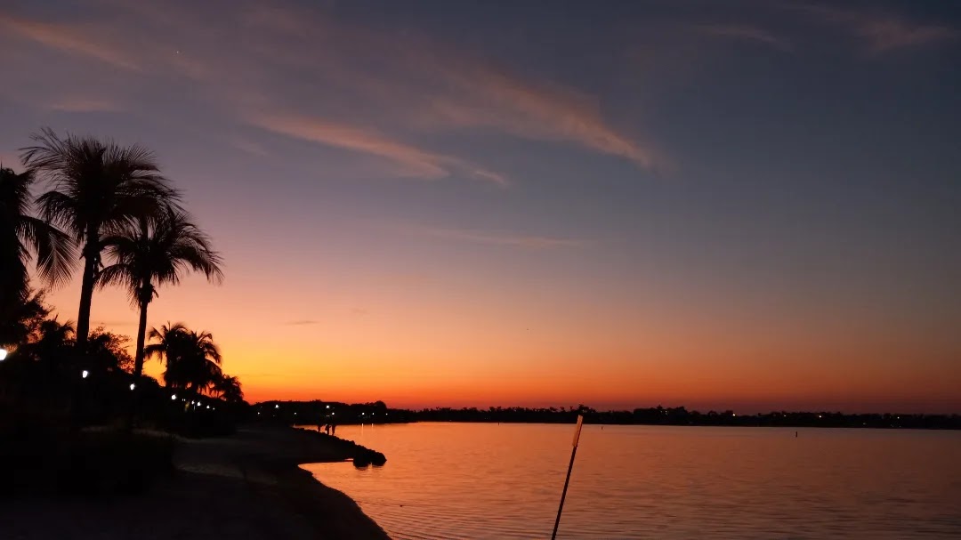 fgcu's tweet photo. Sunsets at the Waterfront are the best π΄βοΈ #fgcu #sunset #swflsunsets https://t.co/Sw5dOYBs7b