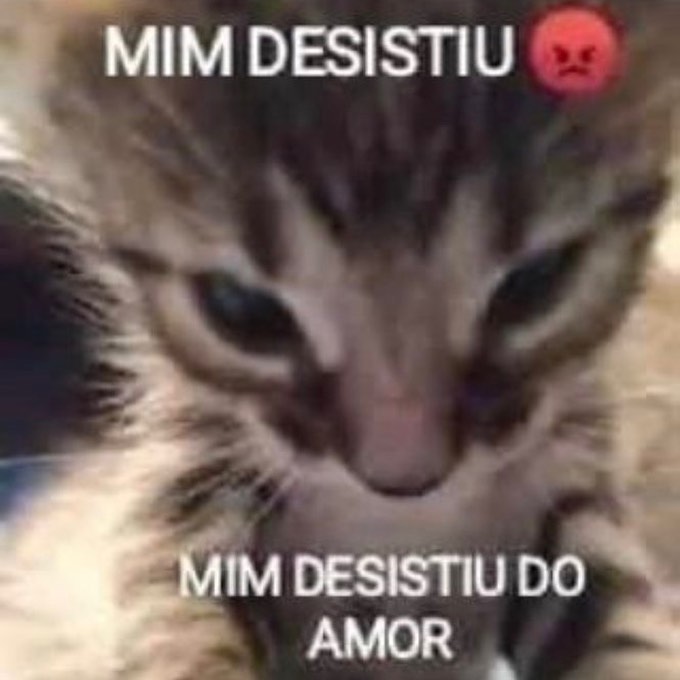 animaisfrases_'s tweet photo. https://t.co/EYAJNlFrA6