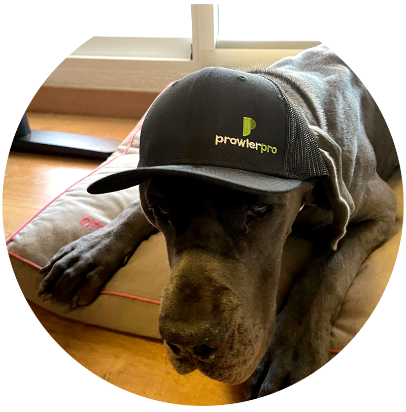 You could look this adorable in a ProwlerPro hat, too! Ok, maybe not as adorable as this—but definitely snazzy. Stop by our booth at #fwdCloudSec2023 Read more about the event and what we'll be up to at prowler.pro/blog/meet-the-…