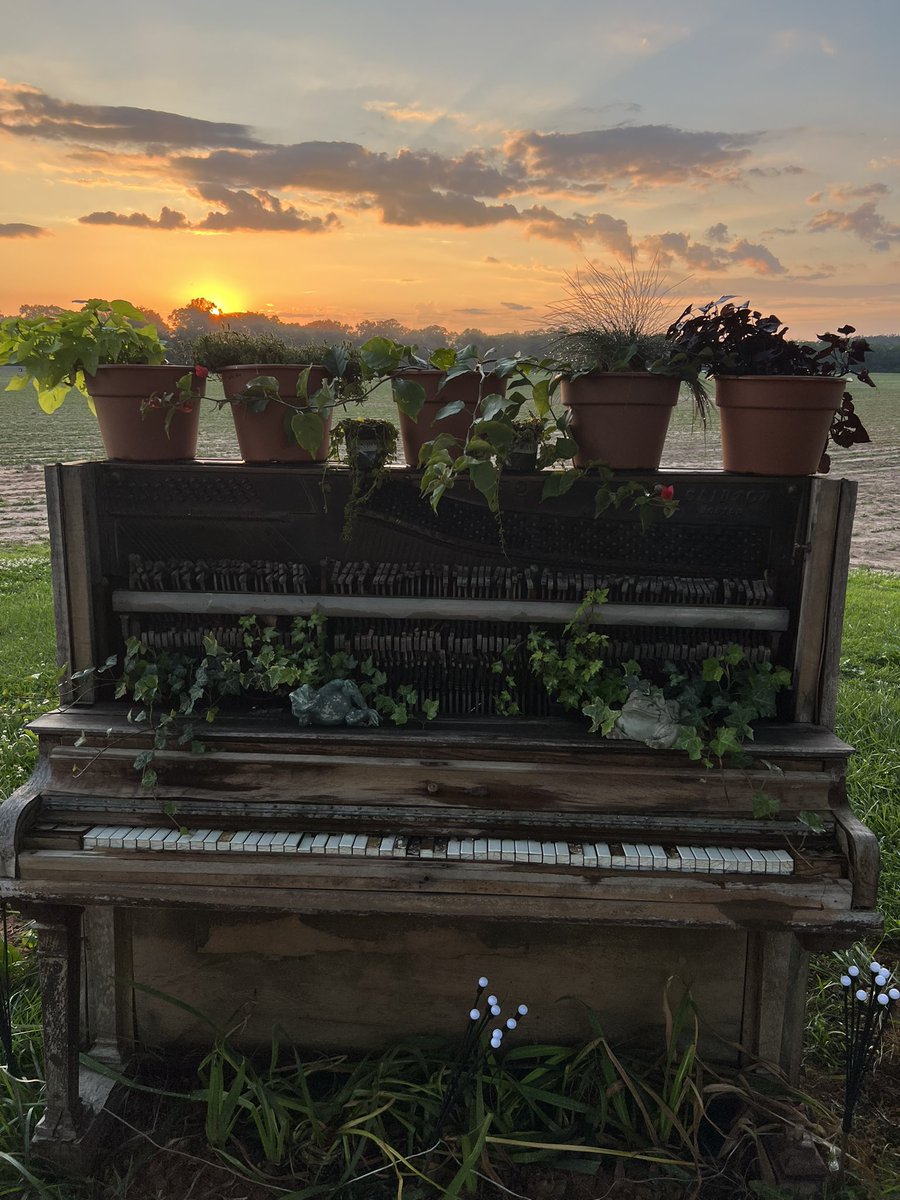 Beautiful sunset tonight in #prickettville Wellington @spann #prickettfarm