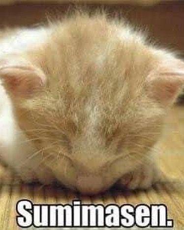 Happy pride month everyone, take time this month to deconstruct society’s gender standards and kiss your homies on the mouth. Full homo.